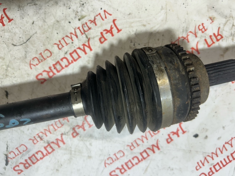 Привод, 4000 рублей, Владимир