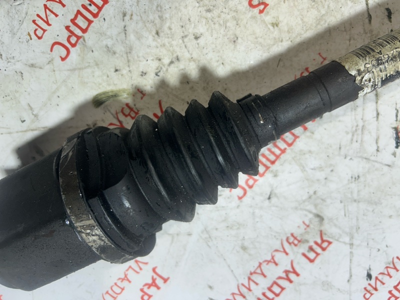 Привод, 4000 рублей, Владимир