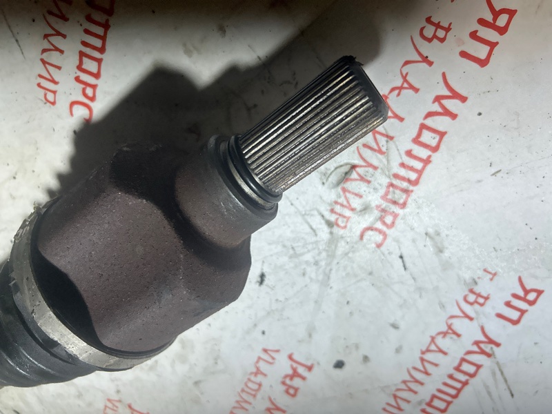 Привод, 4000 рублей, Владимир