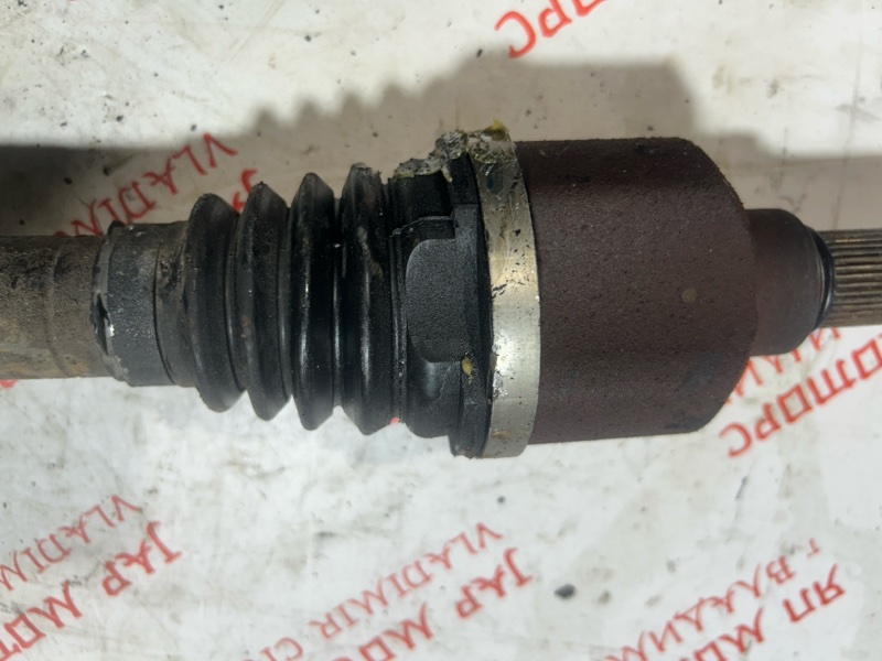 Привод, 4000 рублей, Владимир