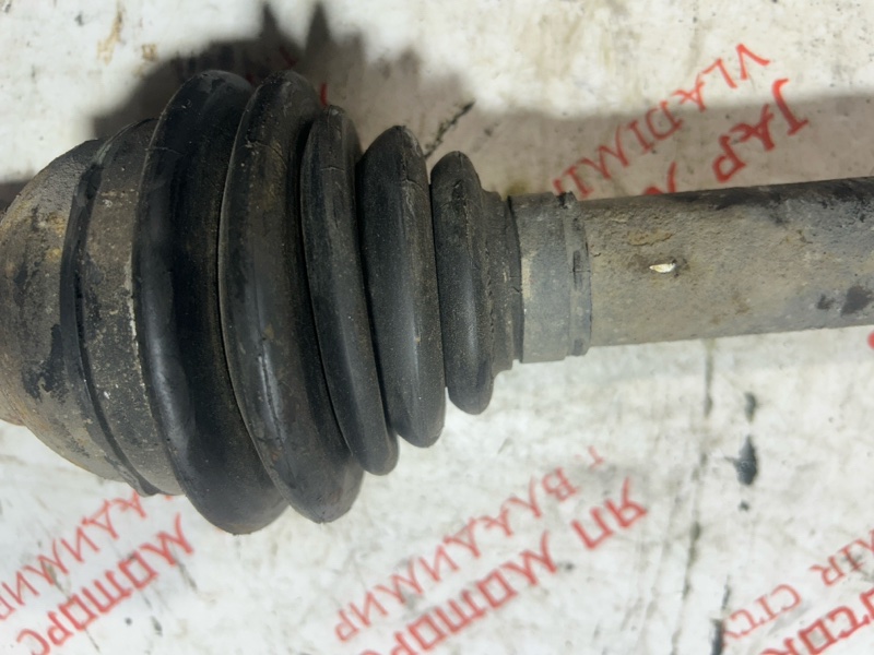 Привод, 4000 рублей, Владимир