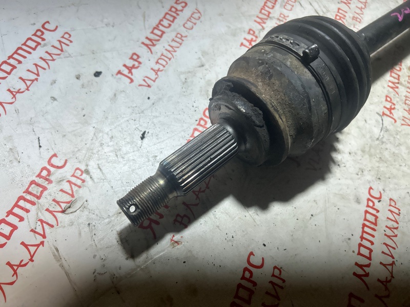 Привод, 5000 рублей, Владимир