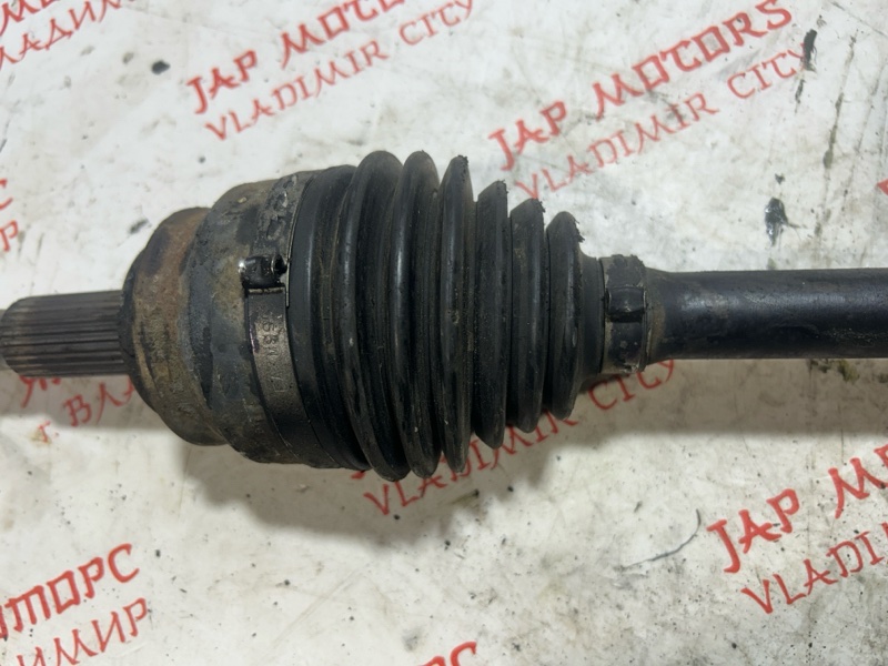 Привод, 5000 рублей, Владимир