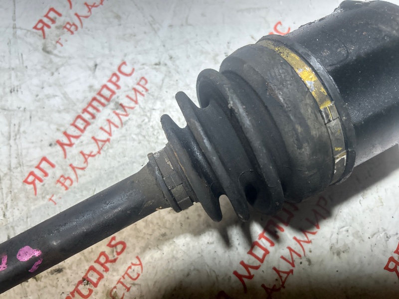 Привод, 5000 рублей, Владимир