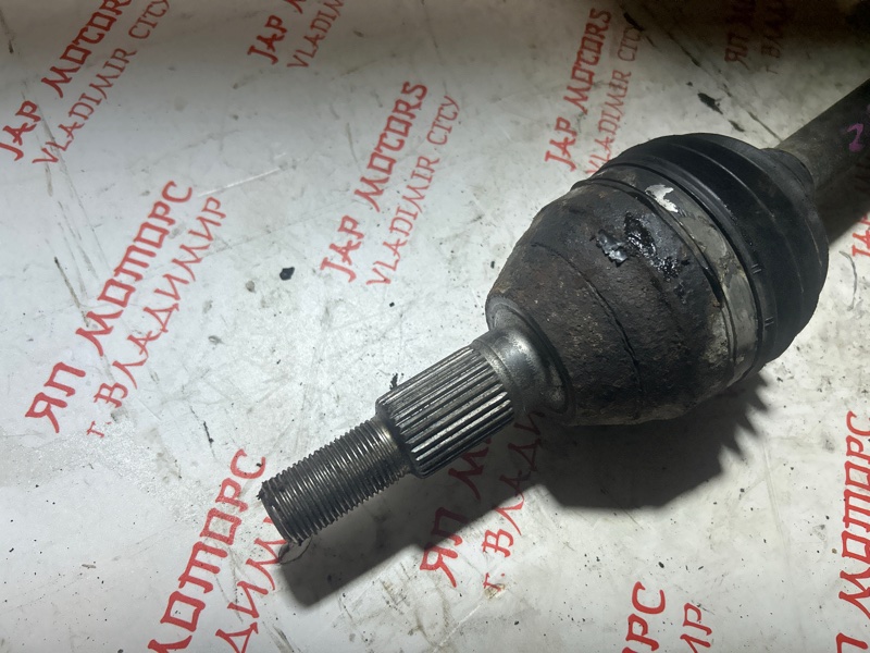 Привод, 7000 рублей, Владимир