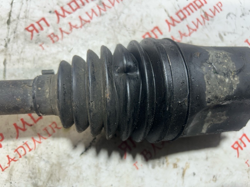 Привод, 7000 рублей, Владимир