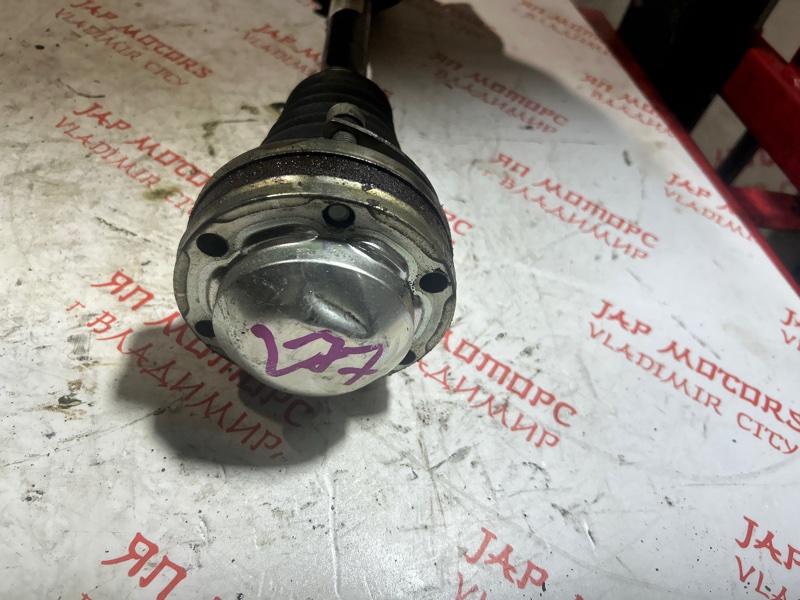 Привод, 4000 рублей, Владимир