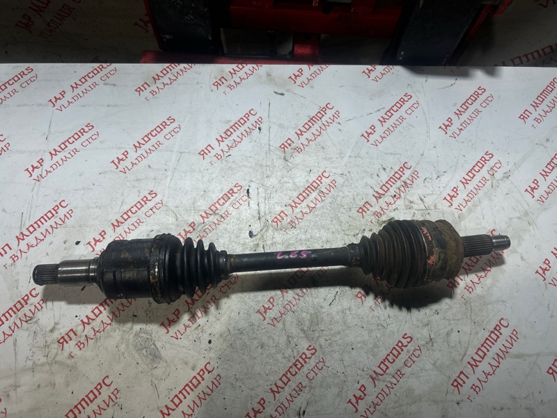 Привод, 4000 рублей, Владимир