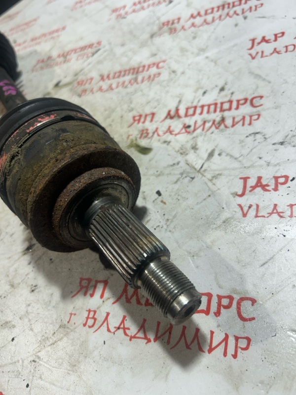 Привод, 4000 рублей, Владимир