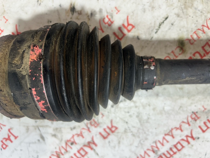 Привод, 4000 рублей, Владимир