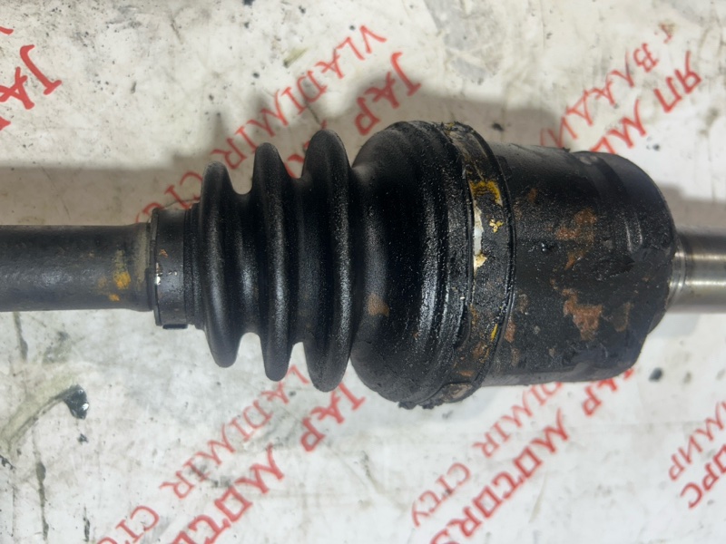 Привод, 4000 рублей, Владимир