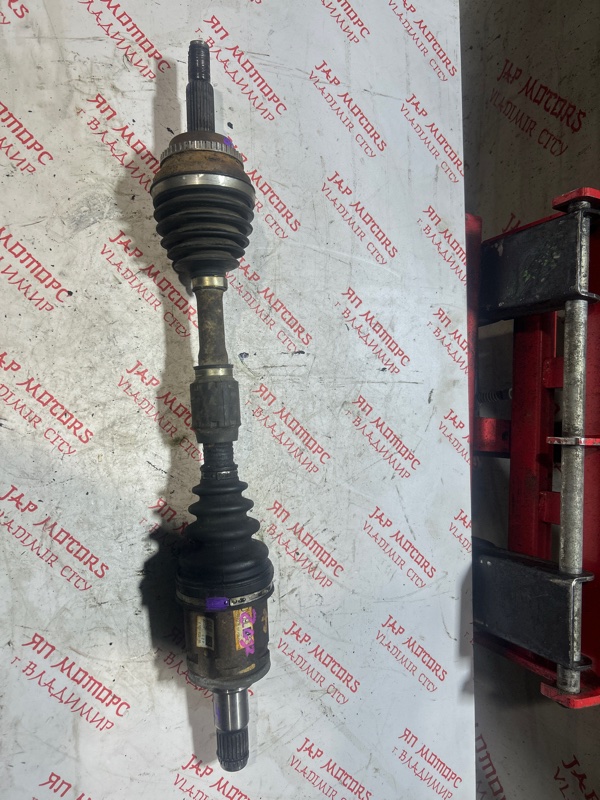 Привод, 8000 рублей, Владимир