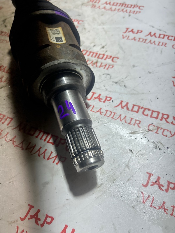 Привод, 8000 рублей, Владимир