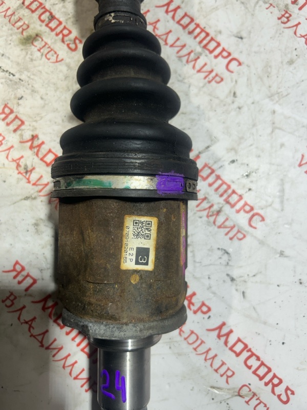 Привод, 8000 рублей, Владимир