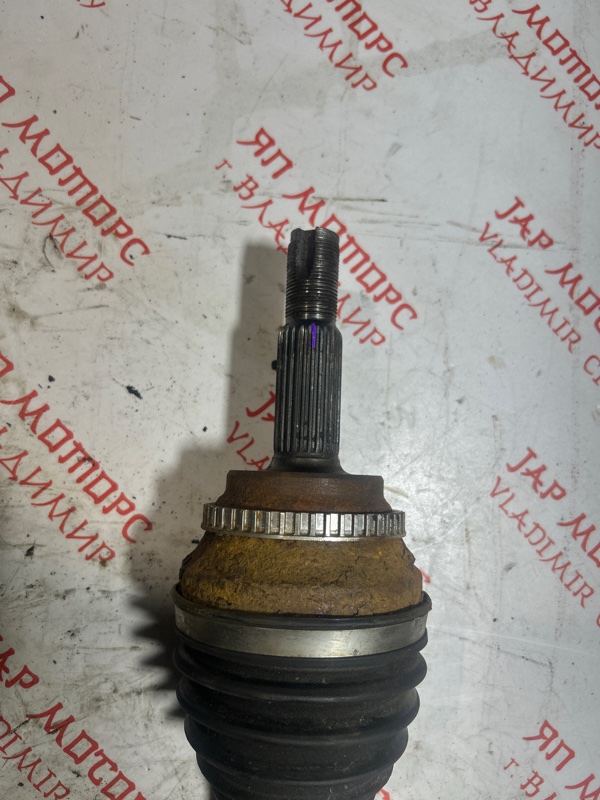 Привод, 8000 рублей, Владимир