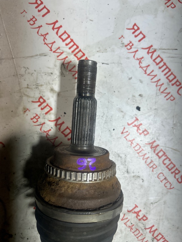 Привод, 8000 рублей, Владимир