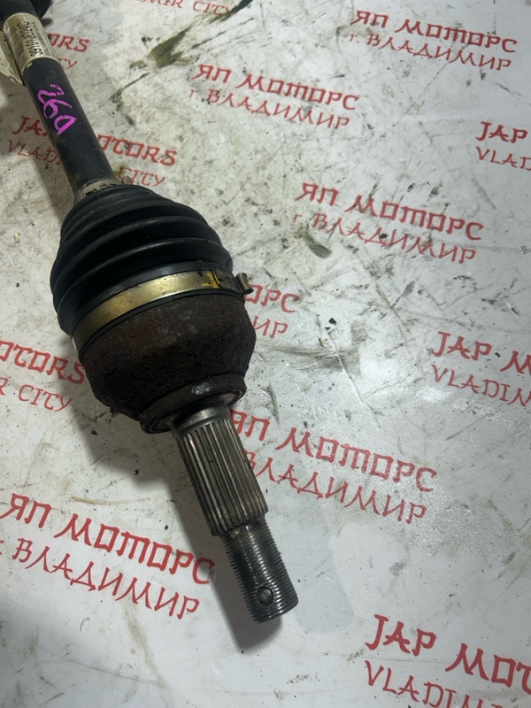 Привод, 5000 рублей, Владимир