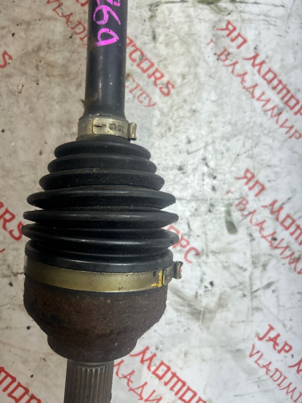 Привод, 5000 рублей, Владимир