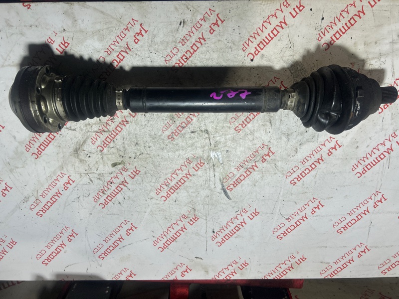 Привод, 4000 рублей, Владимир