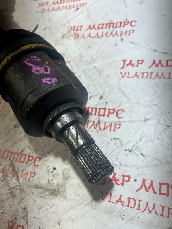 Привод, 5000 рублей, Владимир