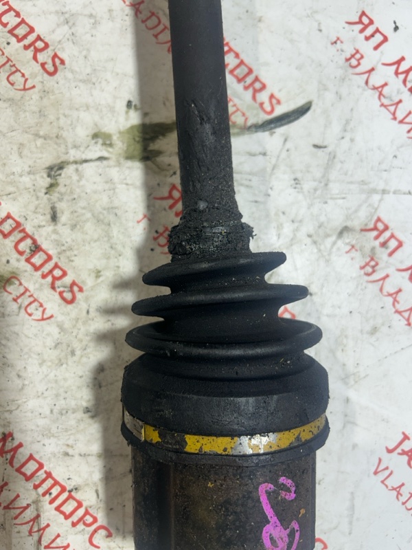 Привод, 5000 рублей, Владимир