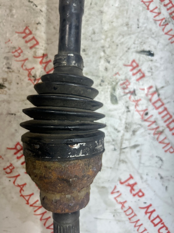 Привод, 5000 рублей, Владимир