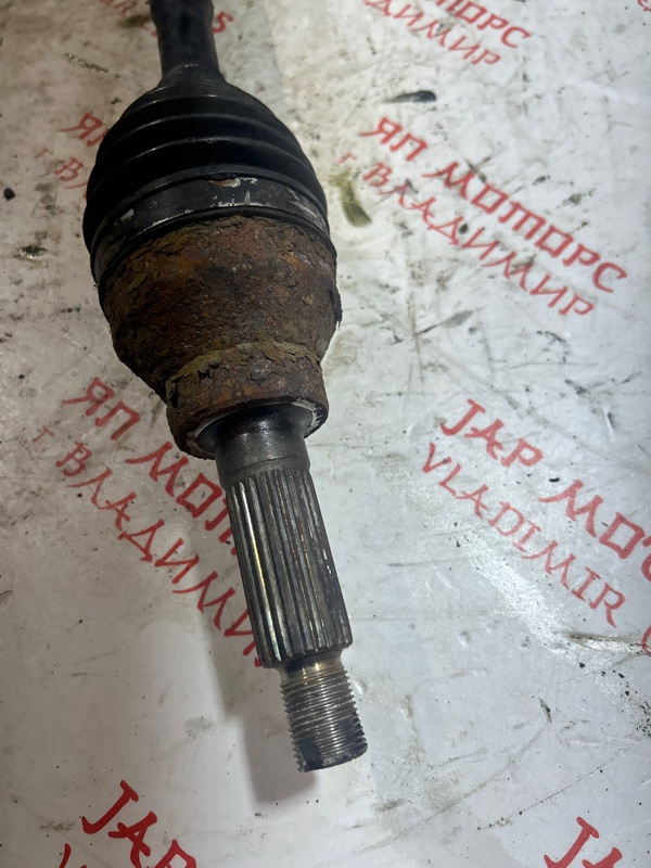 Привод, 5000 рублей, Владимир