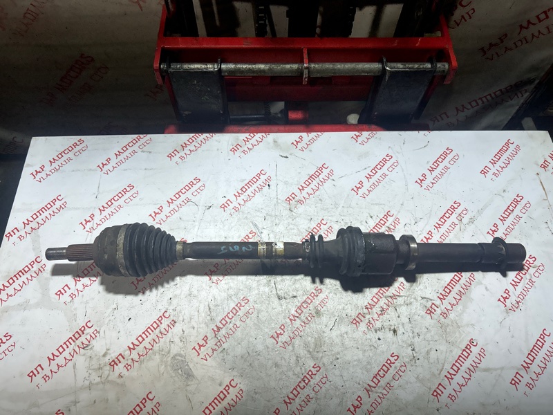 Привод, 6000 рублей, Владимир