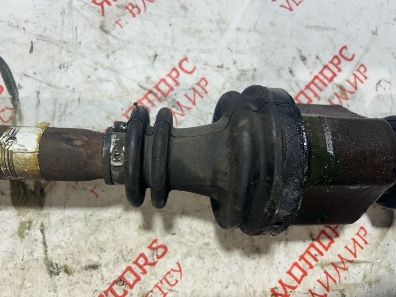 Привод, 6000 рублей, Владимир