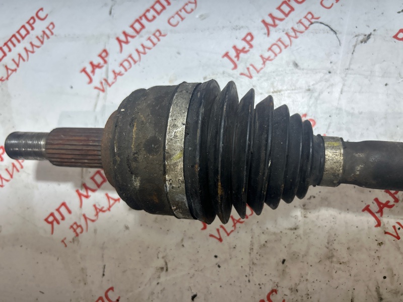 Привод, 6000 рублей, Владимир