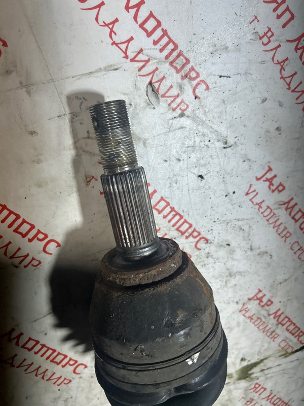 Привод, 5000 рублей, Владимир