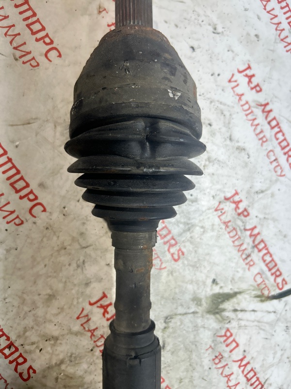 Привод, 5000 рублей, Владимир