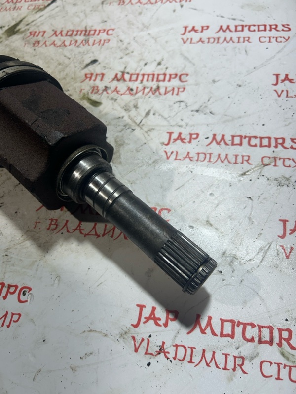 Привод, 5000 рублей, Владимир