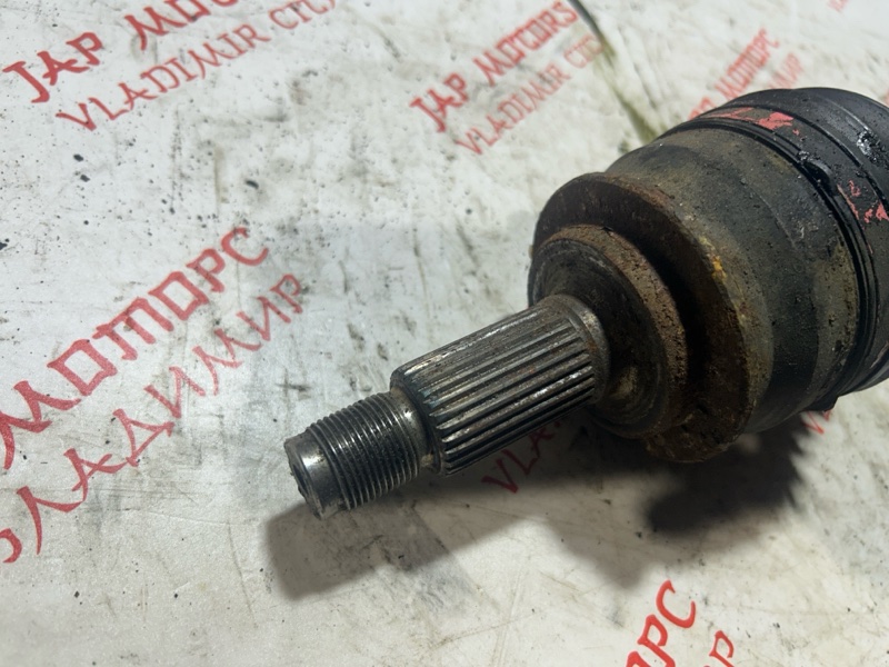 Привод, 5000 рублей, Владимир