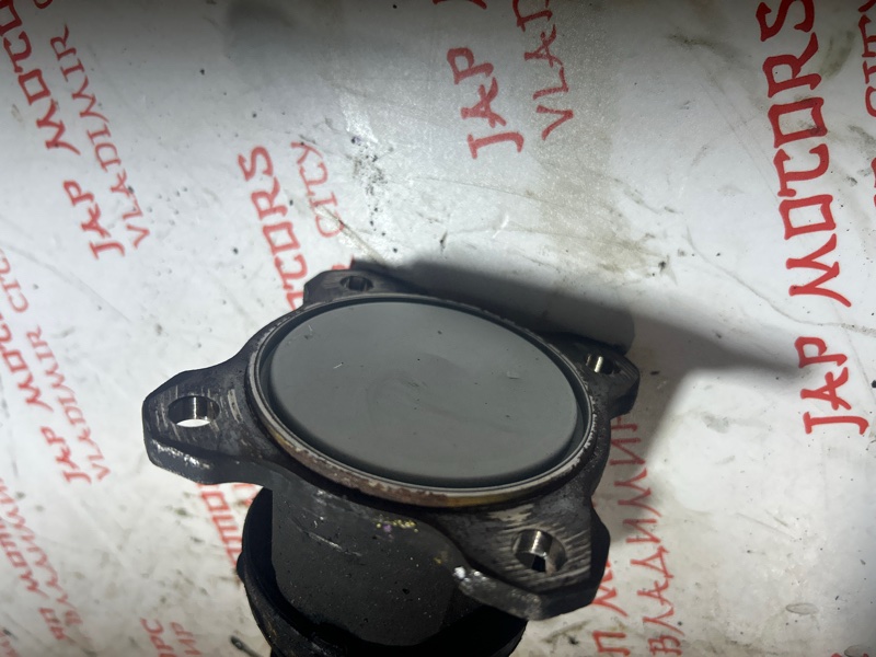 Привод, 5000 рублей, Владимир