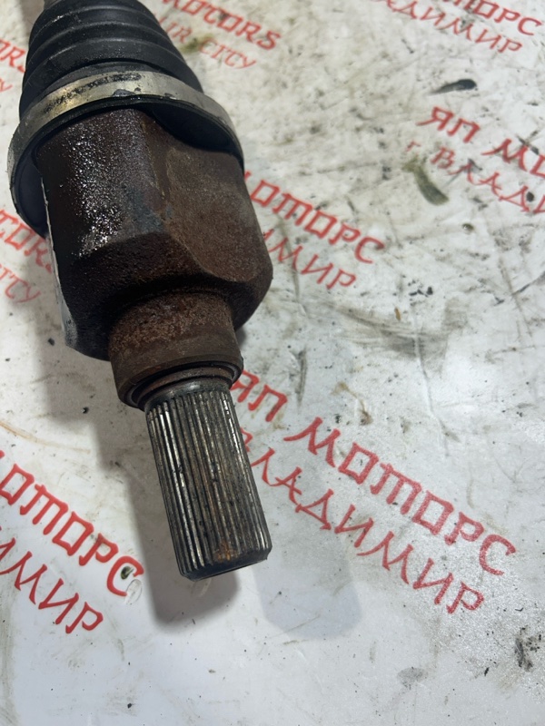 Привод, 5000 рублей, Владимир