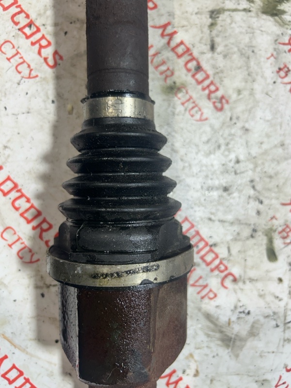 Привод, 5000 рублей, Владимир