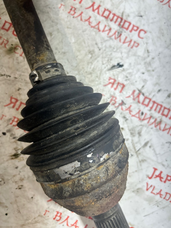 Привод, 7000 рублей, Владимир