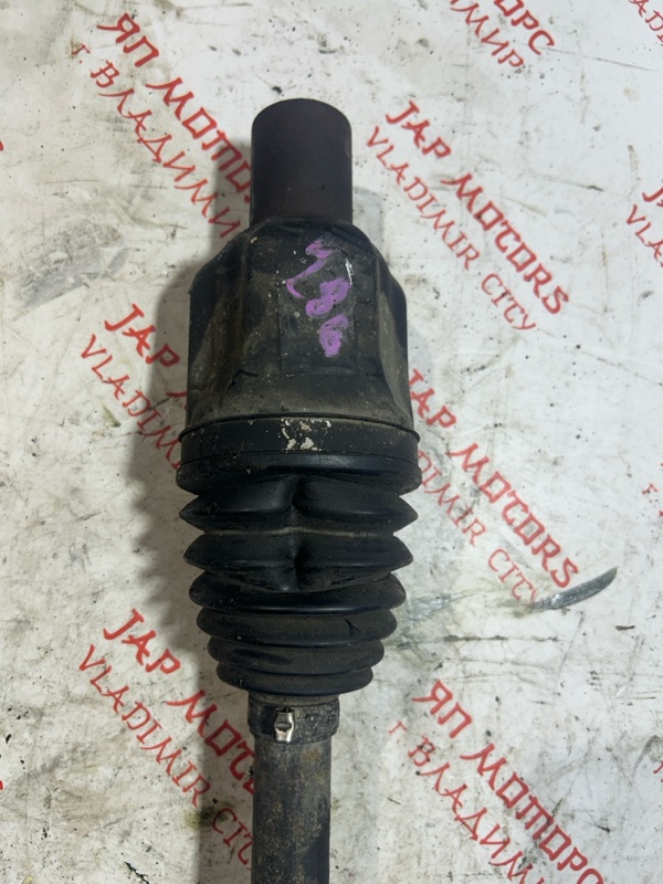 Привод, 7000 рублей, Владимир