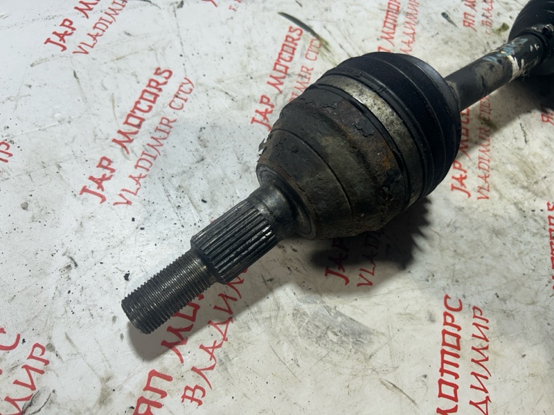 Привод, 7000 рублей, Владимир