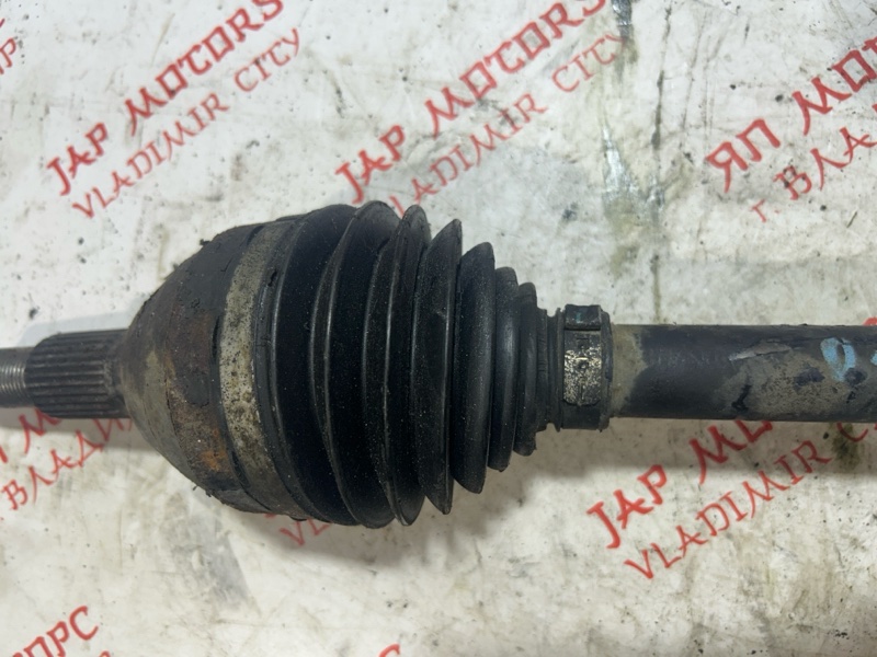 Привод, 7000 рублей, Владимир