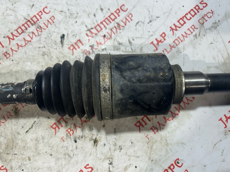 Привод, 7000 рублей, Владимир