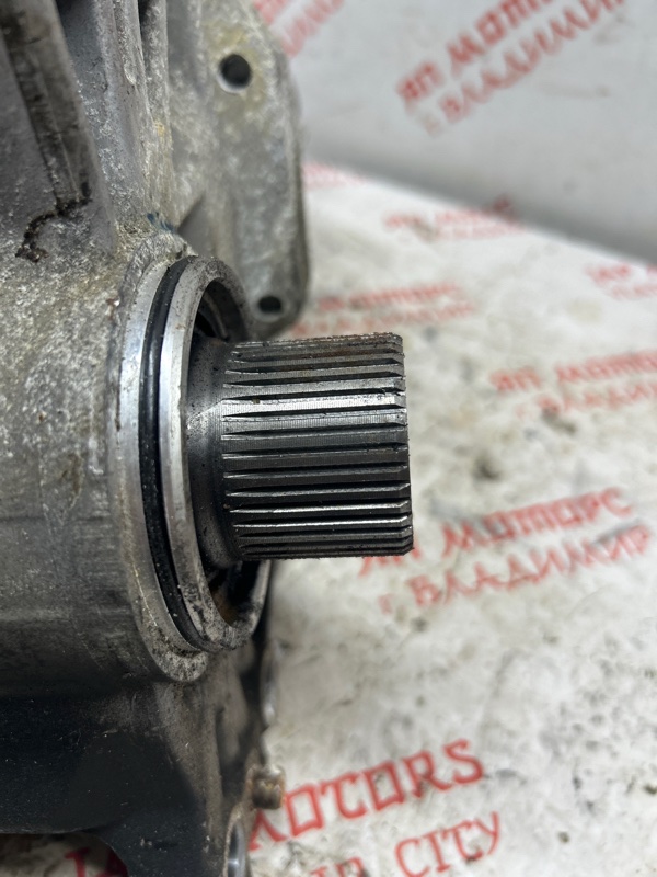 Раздатка, 5000 рублей, Владимир