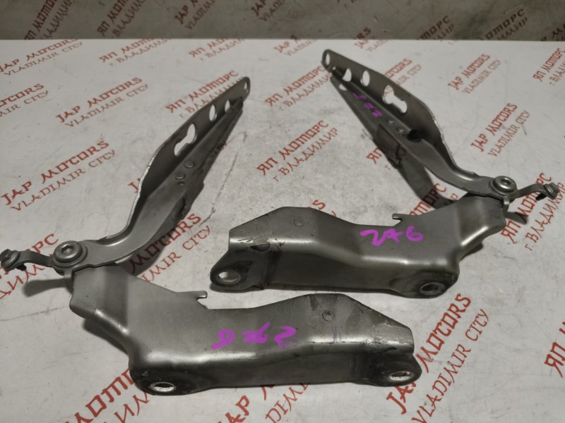 Петля капота, 2000 рублей, Владимир