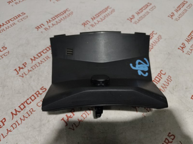 Накладка в салоне, 750 рублей, Владимир