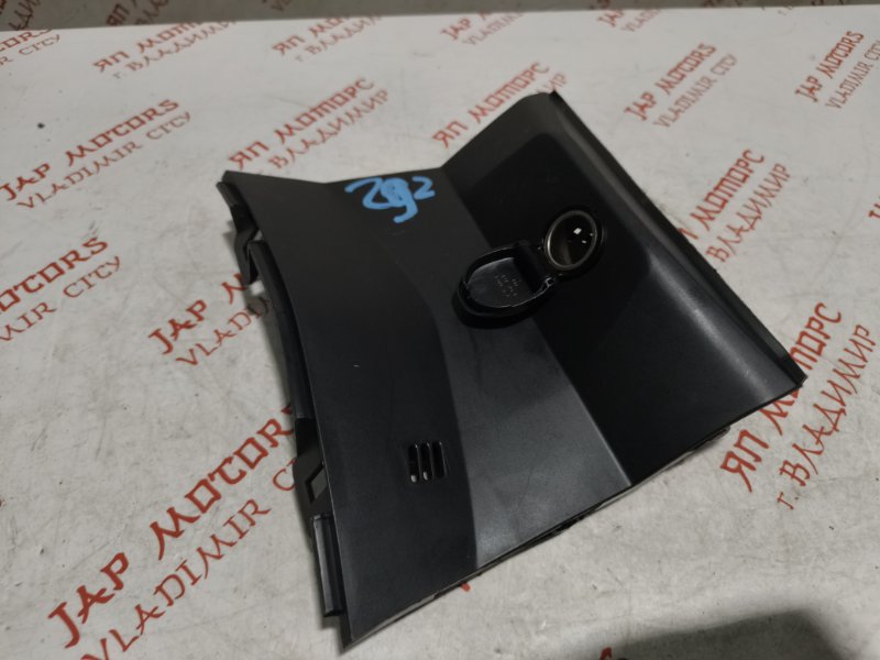 Накладка в салоне, 750 рублей, Владимир