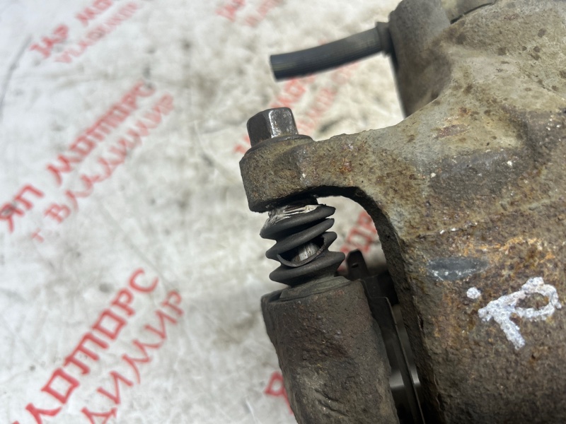 Суппорт тормозной, 2000 рублей, Владимир