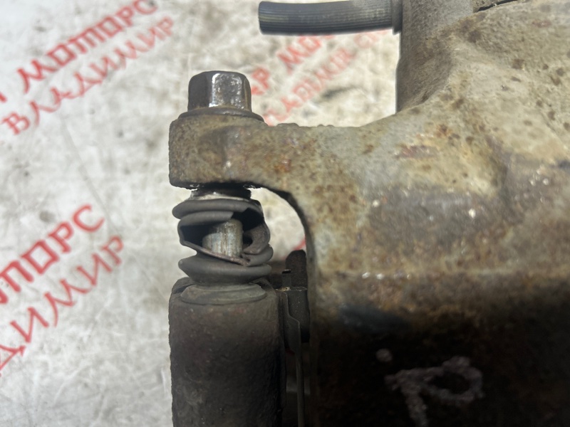 Суппорт тормозной, 2000 рублей, Владимир