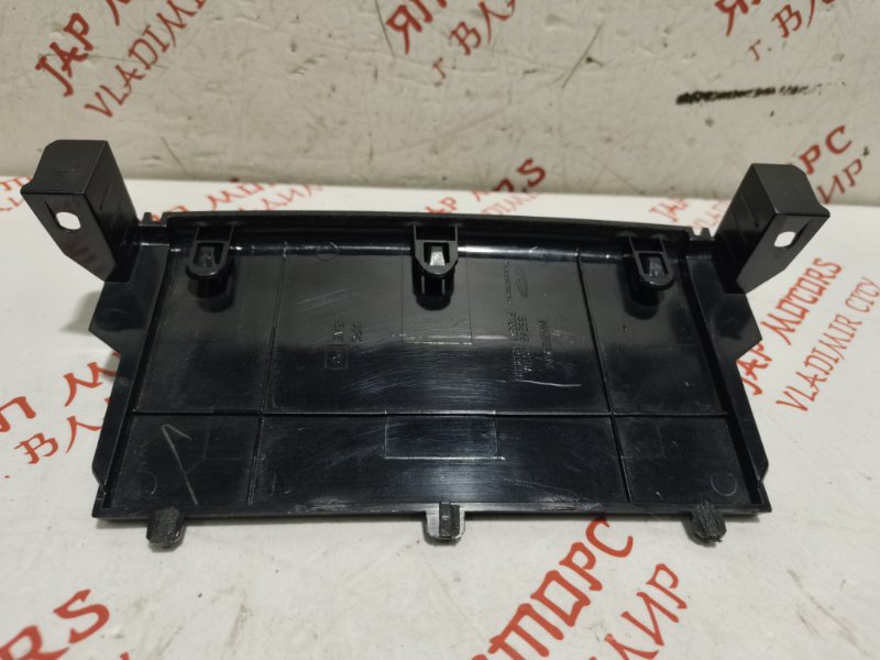 Накладка в салоне, 500 рублей, Владимир