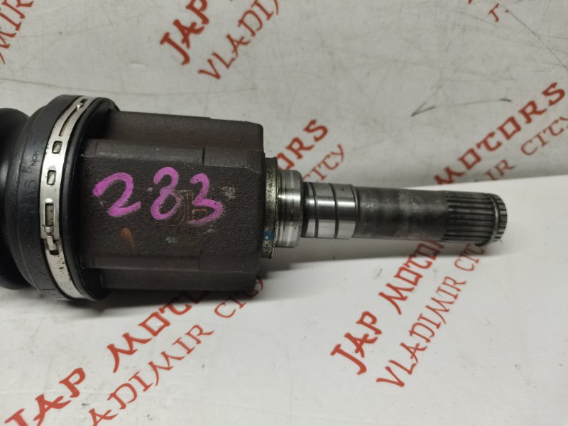 Привод, 7000 рублей, Владимир